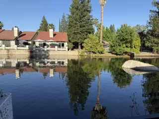 Photo #1: 226052758 Listing 
