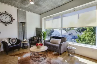 Photo #1: 226053058 Listing 