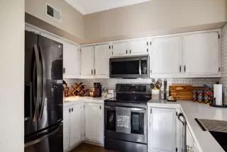 Photo #1: 226053287 Listing 