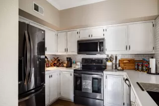 Photo #2: 226053287 Listing 