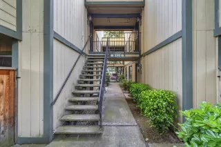 Photo #1: 226053373 Listing 