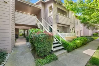 Photo #1: 226053827 Listing 