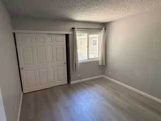 Photo #6: 226054349 Listing 