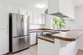 Photo #1: 226055404 Listing 