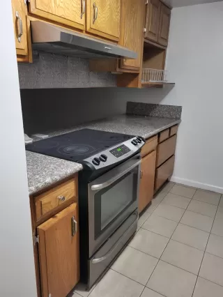 Photo #4: 226055736 Listing 