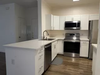 Photo #5: 226055881 Listing 