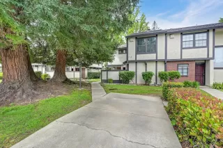 Photo #1: 226056210 Listing 