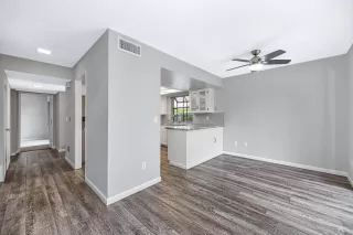 Photo #4: 226056210 Listing 