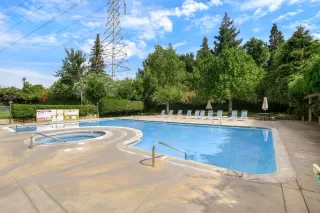 Photo #3: 226056498 Listing 