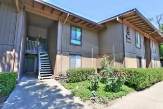 Photo #1: 226058158 Listing