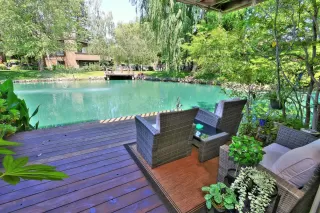 Photo #3: 226058158 Listing