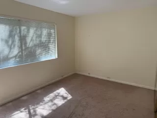 Photo #5: 226059191 Listing 
