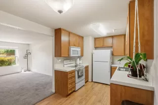 Photo #6: 226059449 Listing 