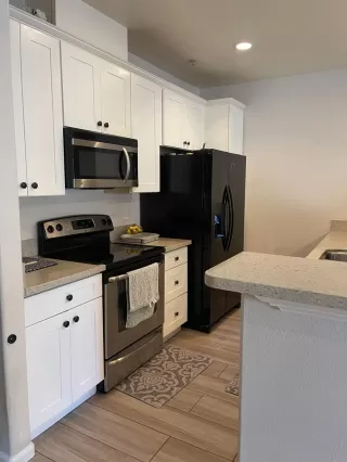 Photo #2: 226061374 Listing 