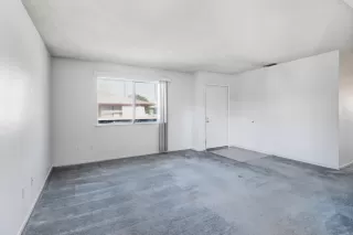 Photo #3: 226062035 Listing 