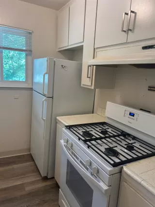 Photo #2: 226062650 Listing