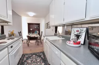 Photo #2: 226062964 Listing