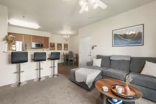 Photo #5: 226063439 Listing