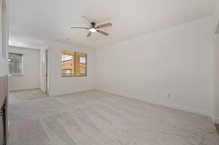 Photo #5: 226063504 Listing