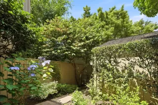 Photo #6: 226064621 Listing 