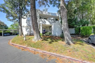 Photo #1: 226064674 Listing