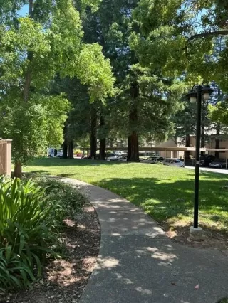 Photo #2: 226064688 Listing 