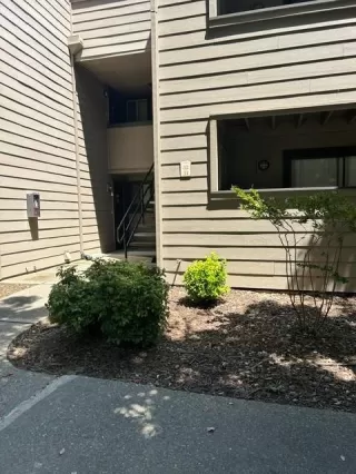 Photo #3: 226064688 Listing 