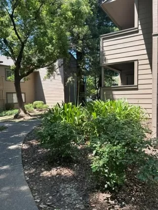Photo #6: 226064688 Listing 