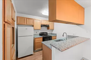 Photo #1: 226064726 Listing 