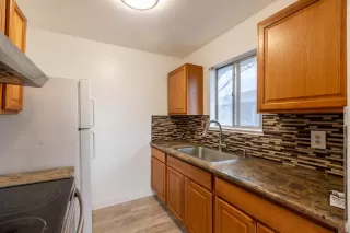 Photo #2: 226065374 Listing 