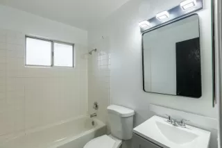 Photo #5: 226065374 Listing 