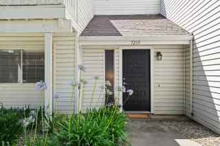 Photo #2: 226066387 Listing