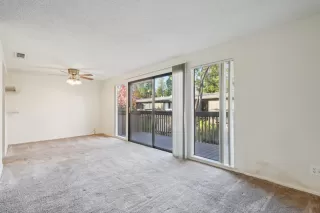 Photo #3: 226066695 Listing