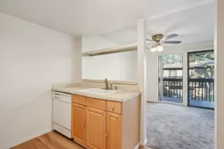 Photo #5: 226066695 Listing