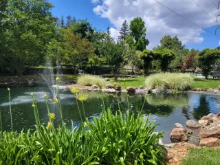 Photo #2: 226067789 Listing