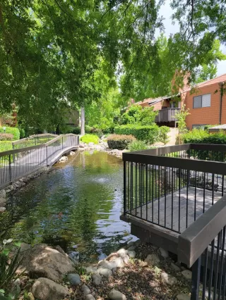 Photo #3: 226067789 Listing