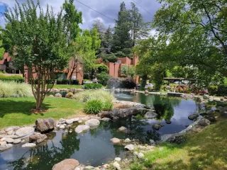 Photo #4: 226067789 Listing