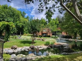 Photo #6: 226067789 Listing