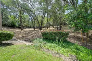 Photo #2: 226067822 Listing 