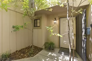 Photo #5: 226067986 Listing 