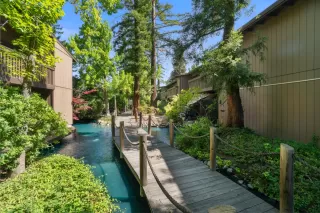 Photo #1: 226068628 Listing