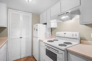 Photo #4: 226068628 Listing