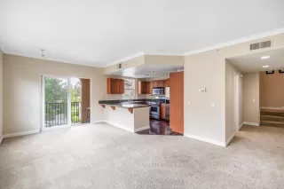 Photo #6: 226069028 Listing
