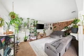Photo #4: 226069180 Listing 