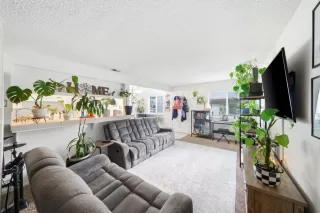 Photo #5: 226069180 Listing 