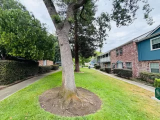 Photo #6: 226069853 Listing
