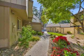 Photo #1: 226070822 Listing
