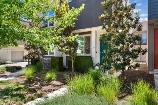 Photo #1: 226071127 Listing 