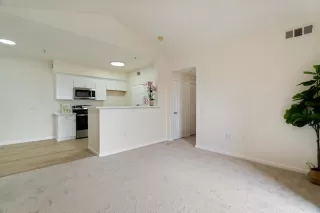 Photo #5: 226071617 Listing 