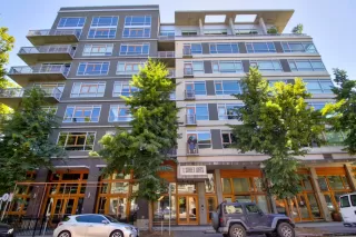 Photo #1: 226071918 Listing 
